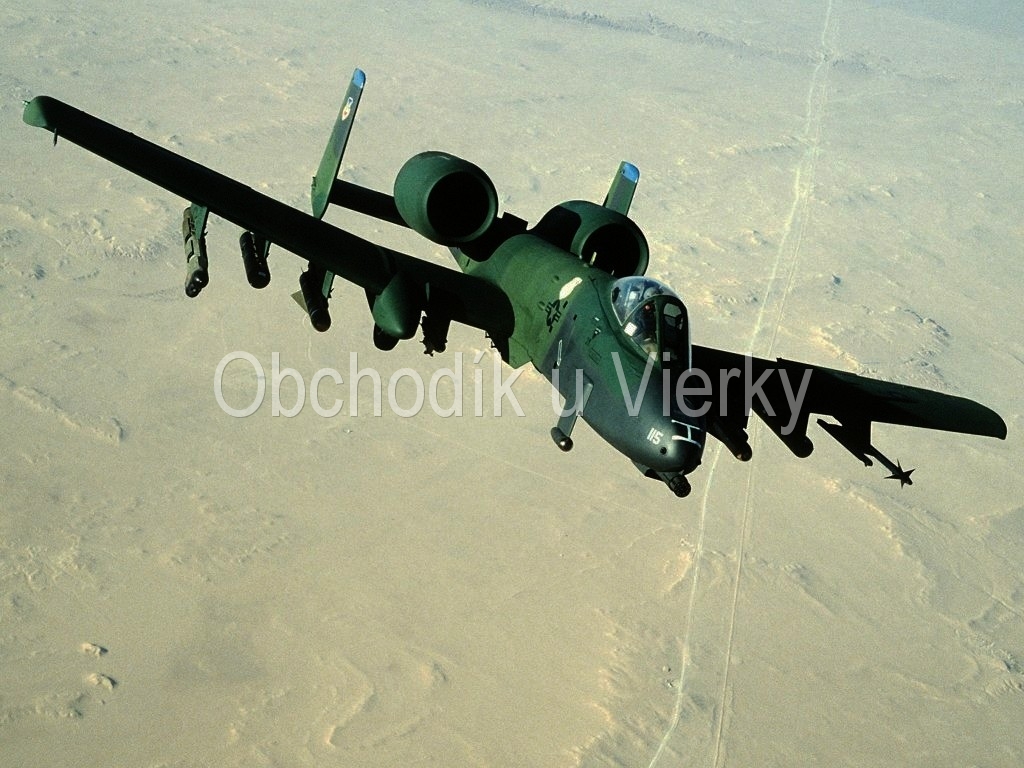 Jedlý obrázok lietadlá č.8100,03